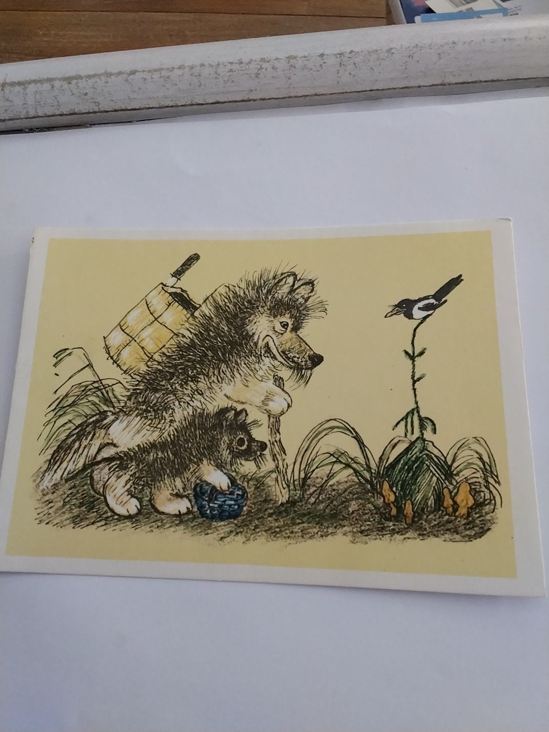 A.V. GOLUBEV.  OP ZOEK NAAR MORIELTJES/PADDESTOELTJES, Ophalen of Verzenden
