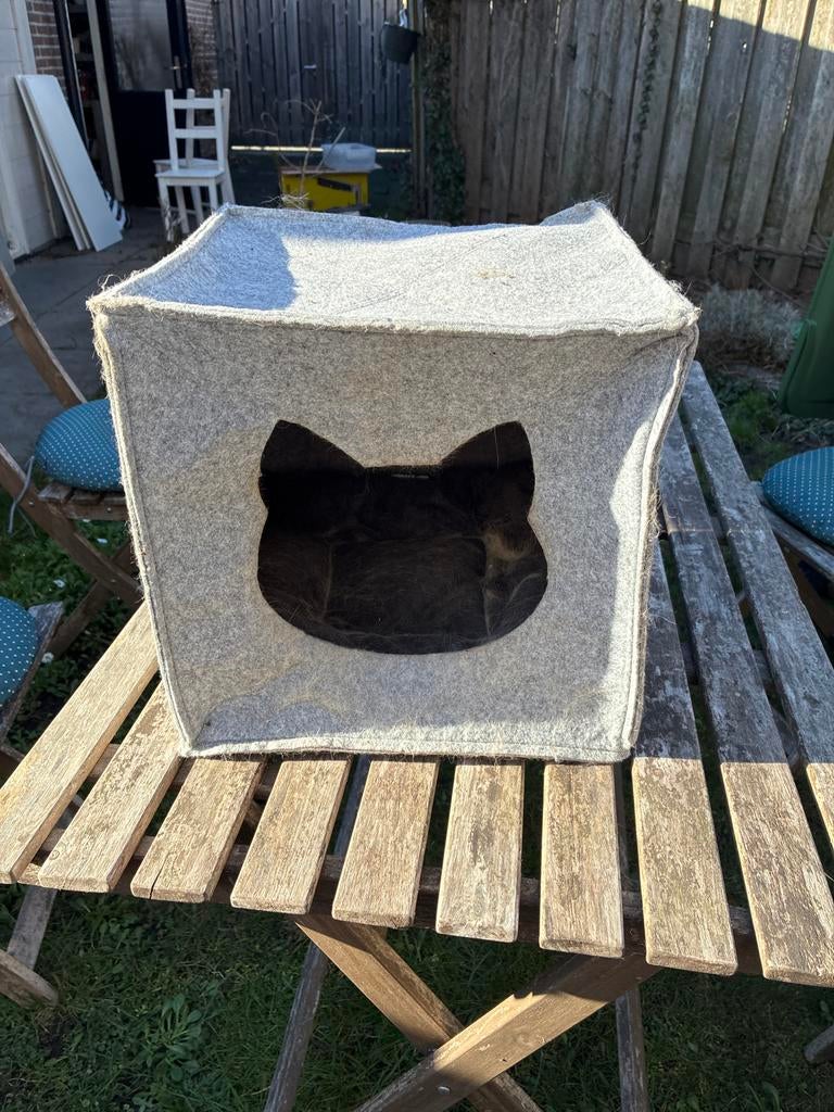kattenmandje / holletje, Dieren en Toebehoren, Katten-accessoires, Ophalen, Gebruikt
