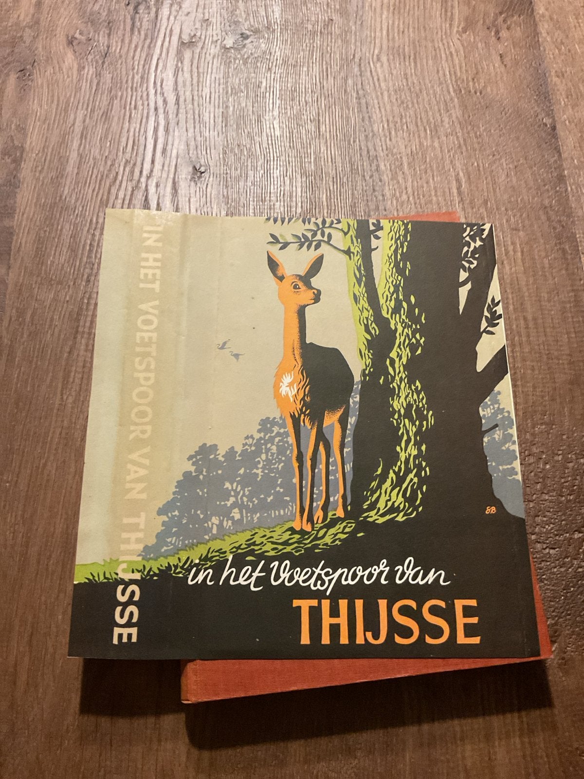 In het voetspoor van Thijsse - Natuurboek, Boeken, Ophalen of Verzenden, Gelezen, Natuur algemeen