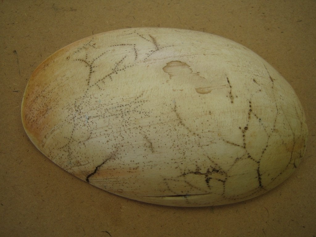 Bailer, Abelam, Papua Nieuw Guinea, Ophalen of Verzenden