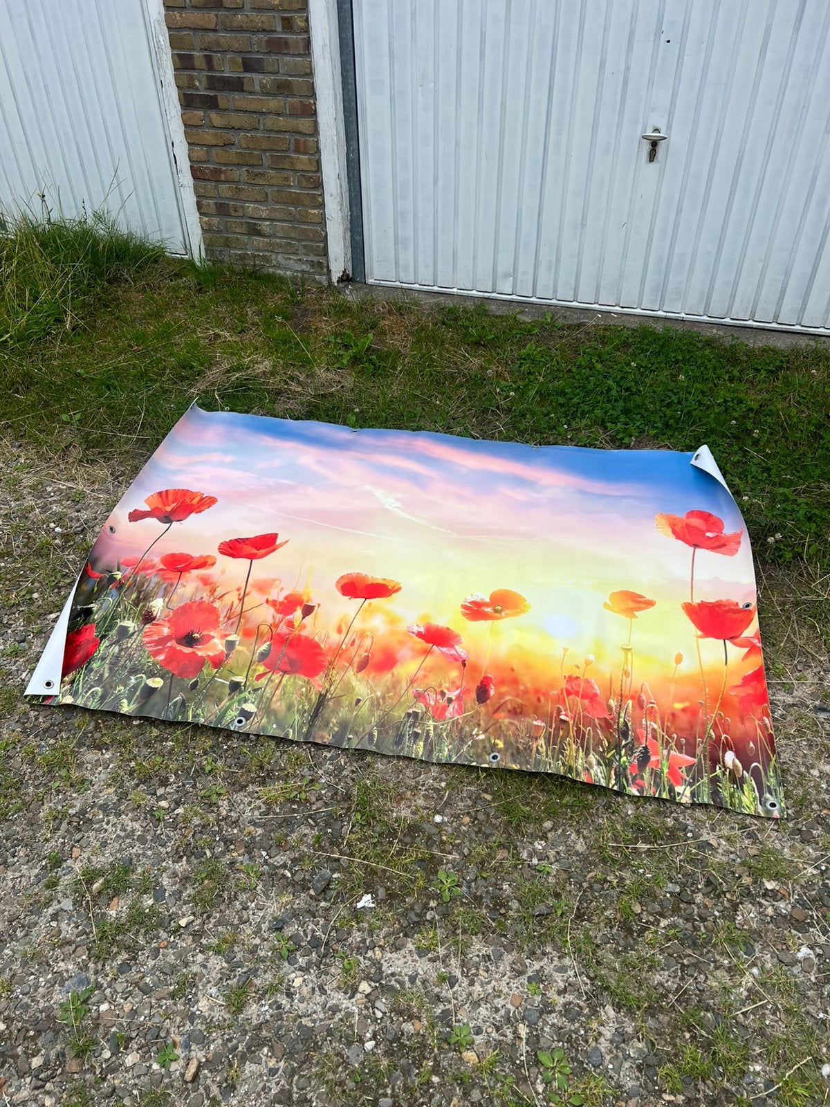 Tuinposter klaprozen xl afhaal €20,/, Ophalen, Nieuw