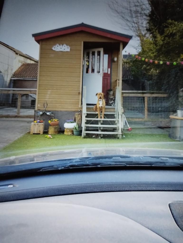 Tiny House te koop of te huur., Tot en met 3