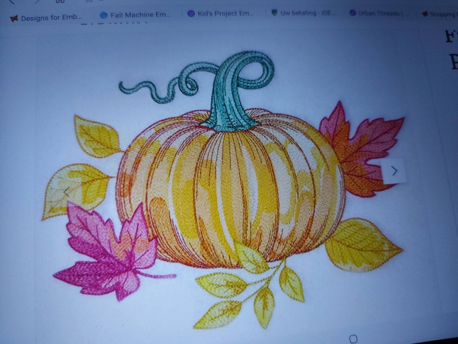 Geborduurde pompoen op stof - Herfstdecoratie, Ophalen of Verzenden, Nieuw