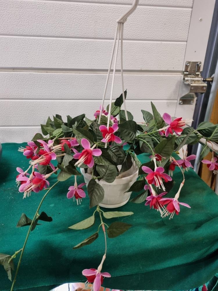 kunsthangplant fuchsia in witte pot, Ophalen of Verzenden, 'T Olde Gre-j, Info@toldegrej.nl, Endepoelstraat 20f Didam