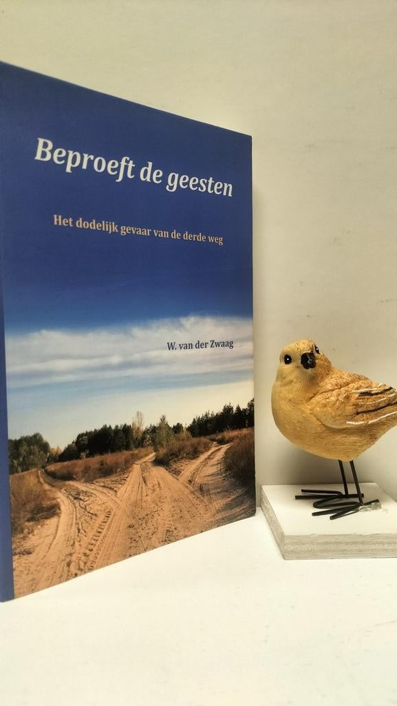 Zwaag, W. van der; Beproeft de geesten, Boeken, Ophalen of Verzenden, Gelezen, Christendom | Protestants