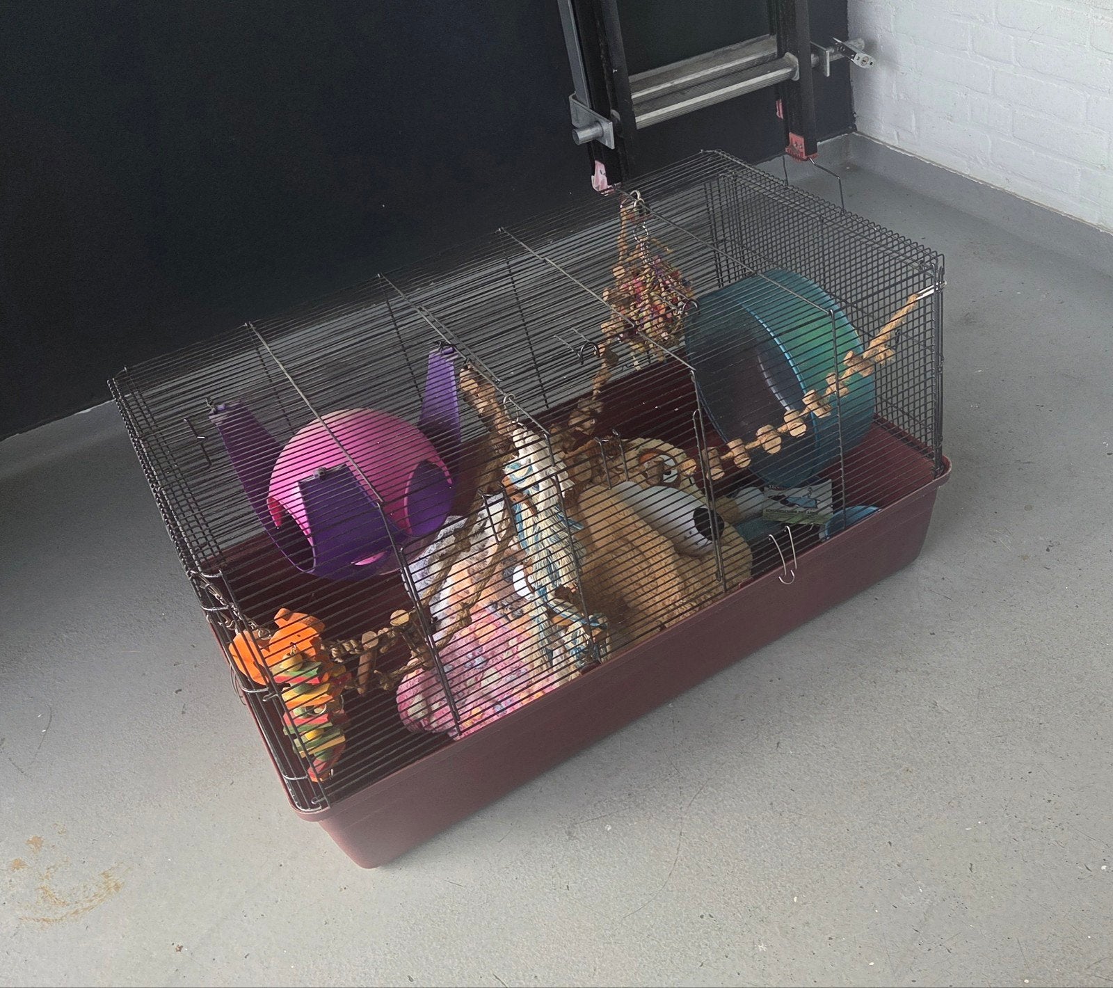 ratten kooi met alle toebehoren (vakantiekooi), Ophalen, Zo goed als nieuw, Kooi, Rat