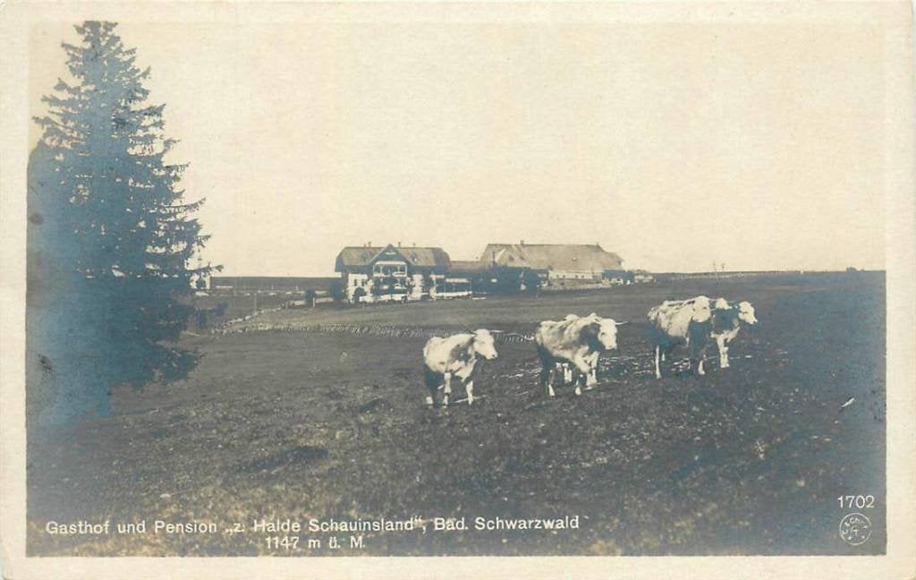 381-122-005 Gasthof und Pension Schwarzwald, Verzenden, Voor 1920, Duitsland