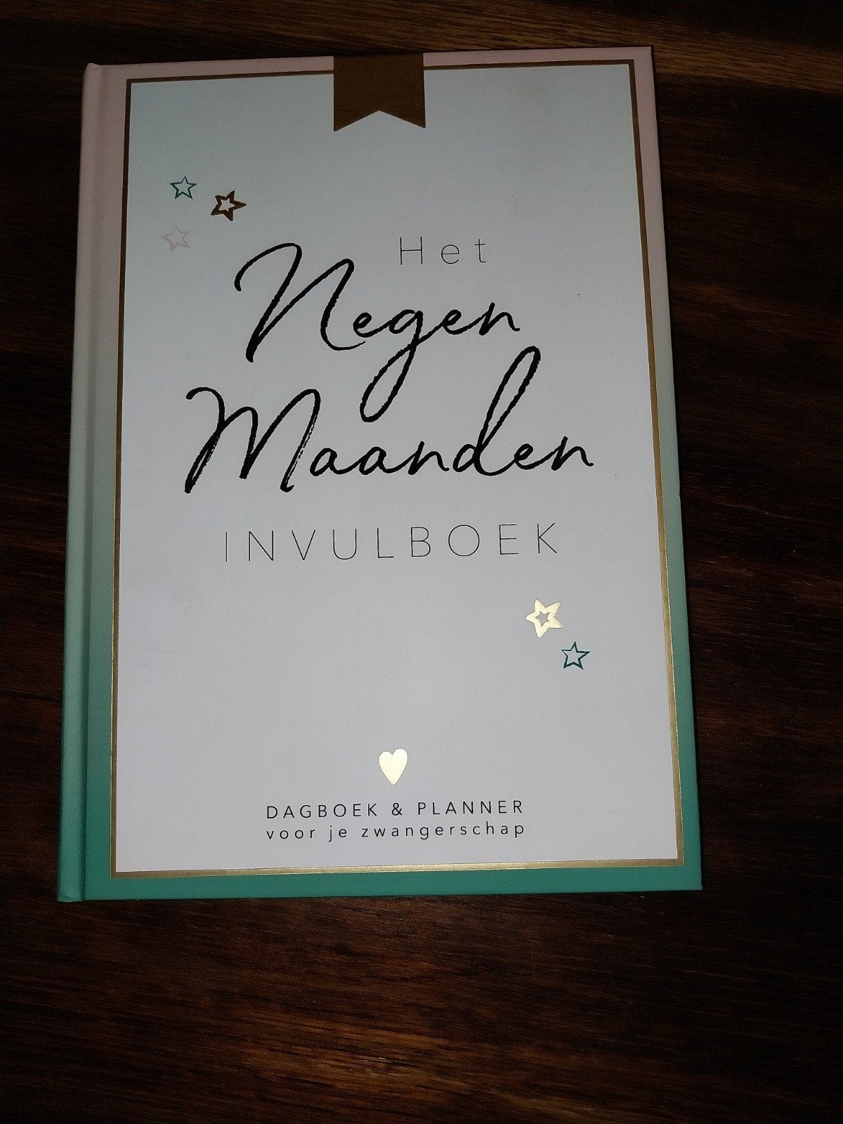 Nieuw! Het negen maanden invulboek, Boeken, Ophalen of Verzenden, Nieuw, 0 tot 6 maanden
