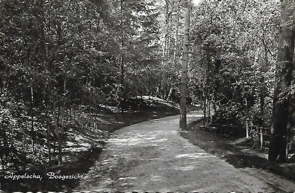 Appelscha- -Bosgezicht., Ophalen of Verzenden, 1960 tot 1980, Gelopen, Friesland