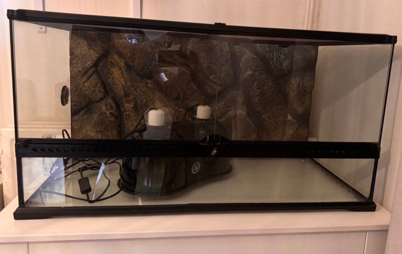 Terrarium, Ophalen, Zo goed als nieuw, Terrarium of Paludarium