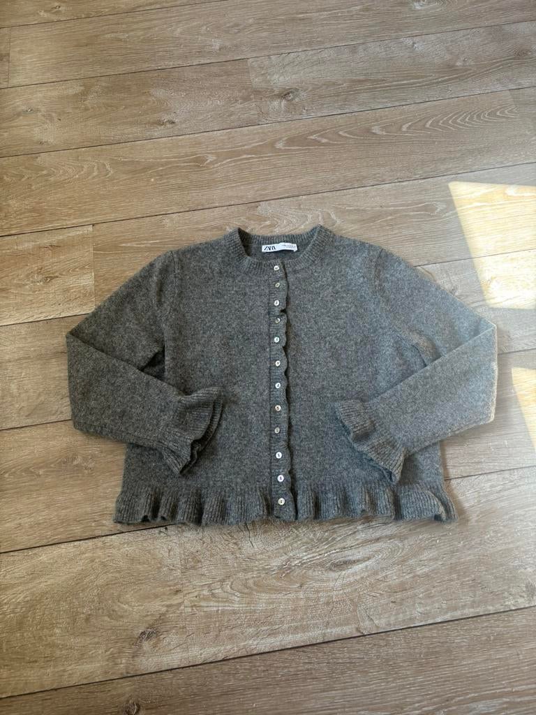 Grijs vest Zara M, Verzenden, Zo goed als nieuw, Maat 38/40 (M), Grijs