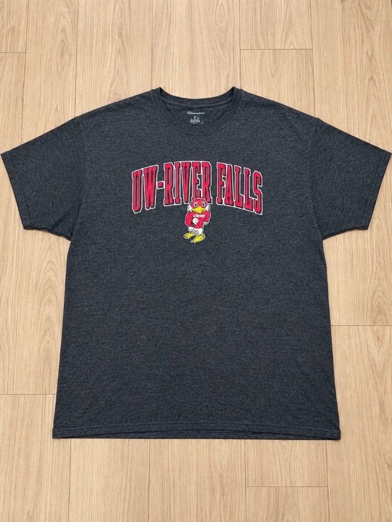 Champion T-shirt UW-River Falls grijs 3XL, Champion, Overige maten, Ophalen of Verzenden, Zo goed als nieuw