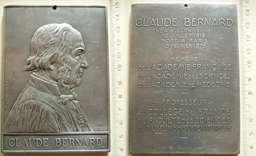 Grote plaquette Claude Bernard 1878, Verzenden, Overige materialen