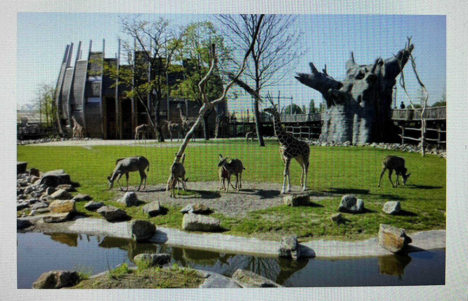 2x voucher voor Blijdorp - Kind, Twee personen, Ticket of Toegangskaart