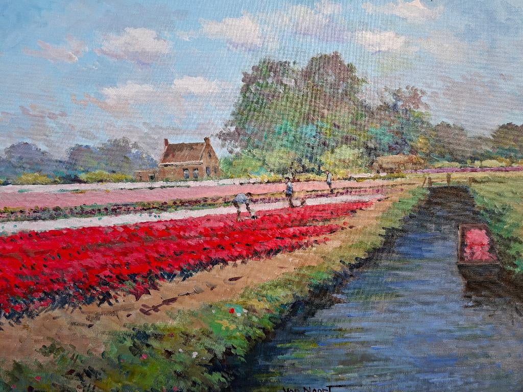 VAN NOORT , GROOT BOLLENVELD TE HEEMSTEDE, Antiek en Kunst, Kunst | Schilderijen | Klassiek, Ophalen