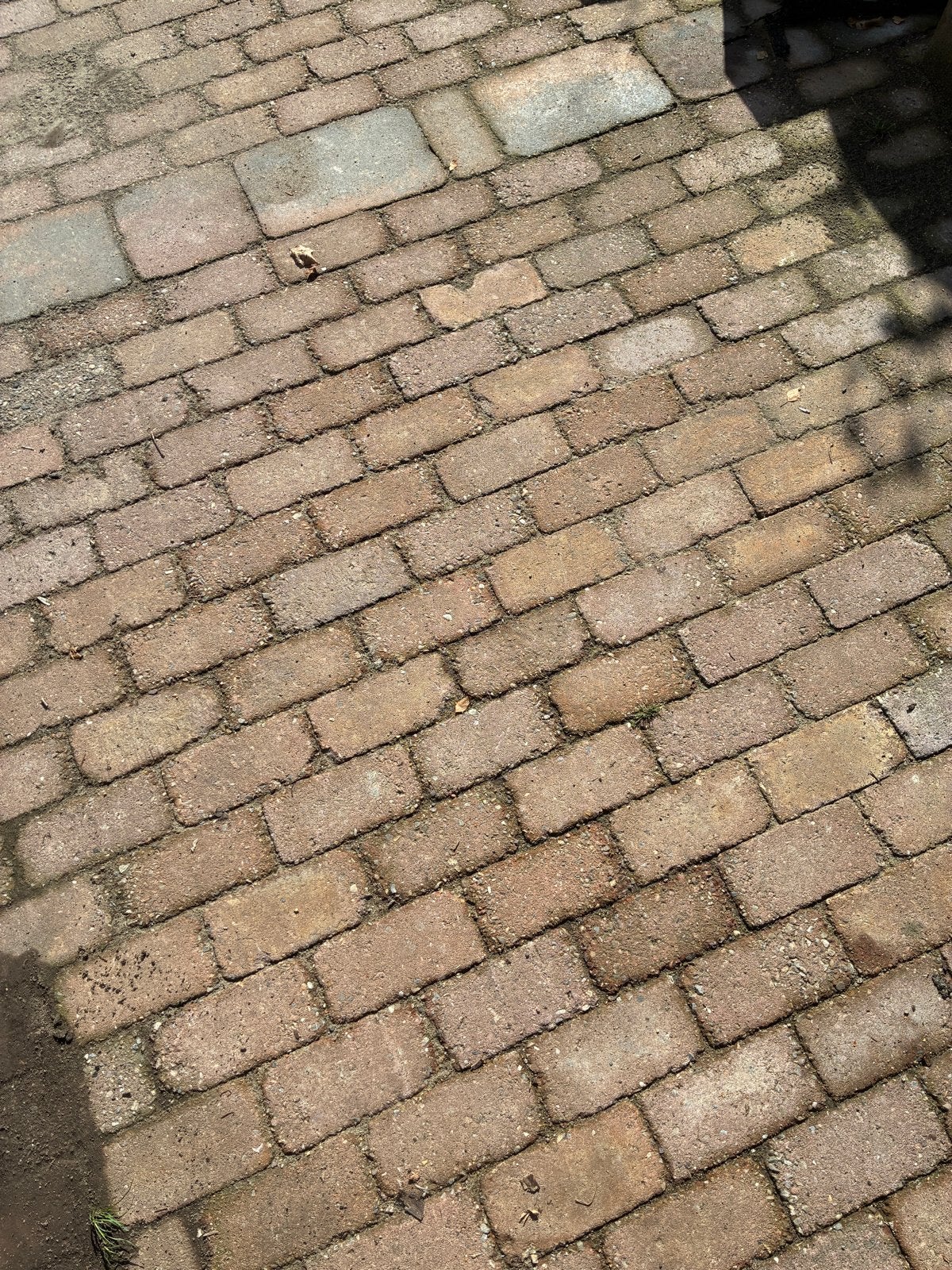 Ca 6 m2 klinkers bkk heide/paars, Ophalen, Gebruikt, Klinkers, Minder dan 5 m²