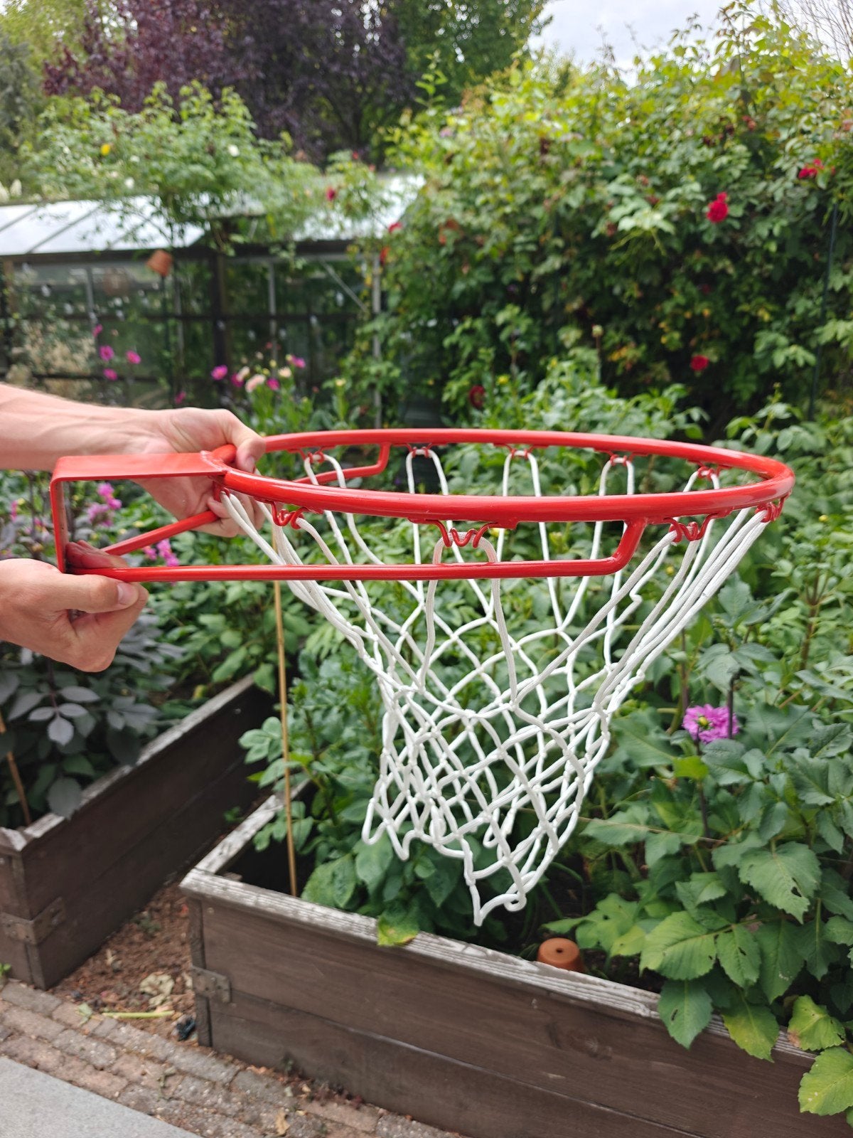 Basketbalring met net - nieuw, Sport en Fitness, Basketbal, Ophalen, Nieuw, Ring, Bord of Paal