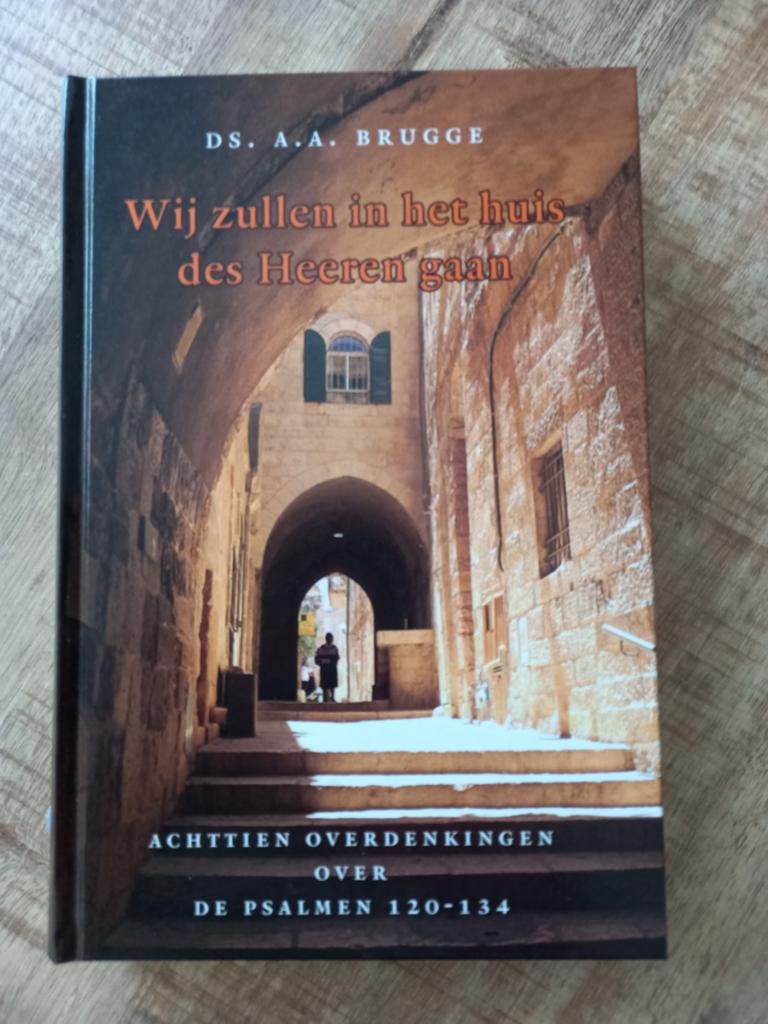 A.A. Brugge - Wij zullen in het huis des Heeren gaan, Ophalen of Verzenden, Zo goed als nieuw, A.A. Brugge