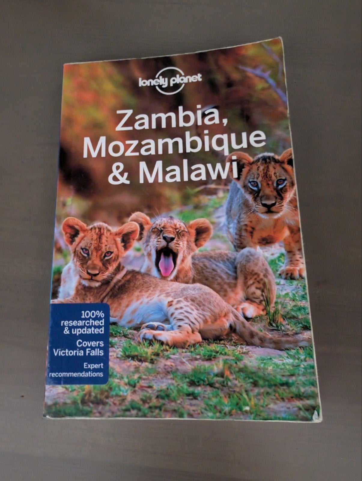 Lonely Planet Zambia, Mozambique & Malawi Reisgids, Afrika, Lonely Planet, Ophalen of Verzenden, Zo goed als nieuw