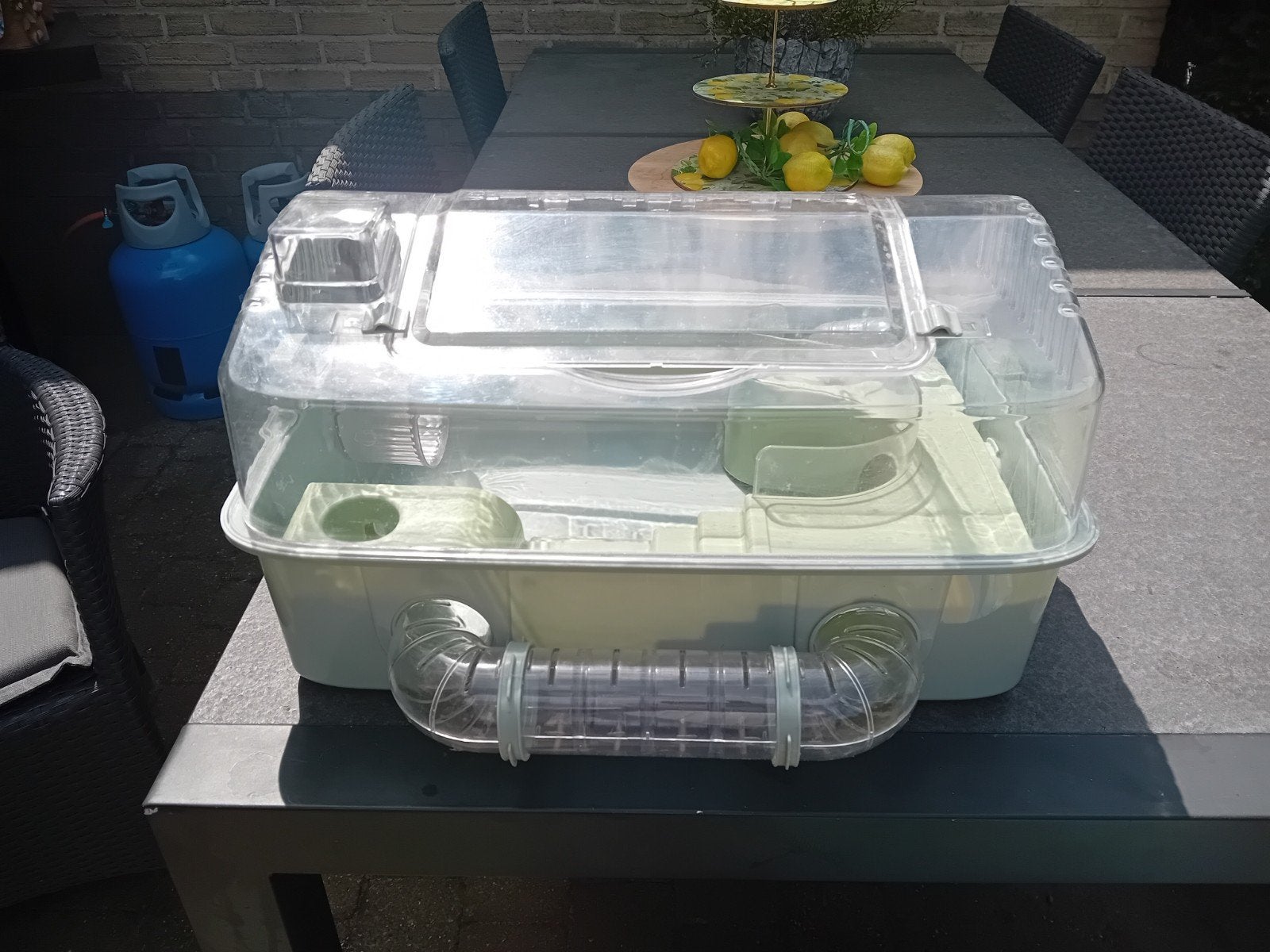 Mooie hamster/muizenkooi in zeer goede staat en compleet., Dieren en Toebehoren, Knaagdieren, Januari, Mannelijk, Hamster