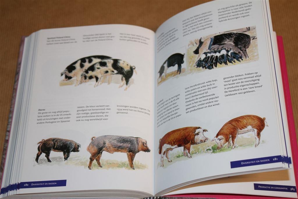 Het varkensboek. Anno Fokkinga., Ophalen of Verzenden, Zo goed als nieuw, Vogels