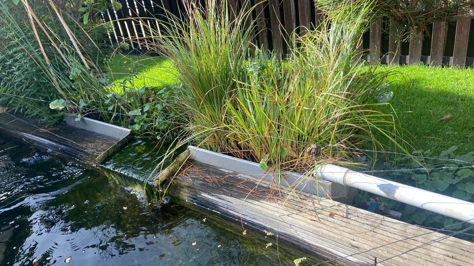 Complete Vijver met Plantenfilter, Vissen en Pomp, Tuin en Terras, Ophalen, Gebruikt