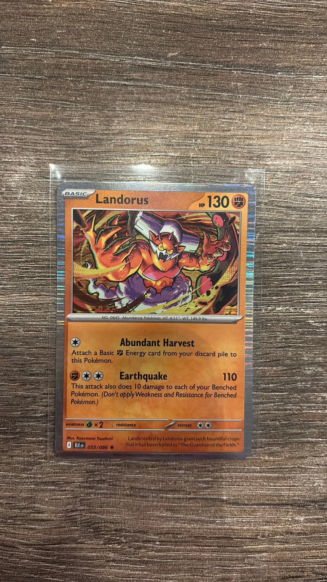 BLK Landorus 053/086 holo, Hobby en Vrije tijd, Verzamelkaartspellen | Pokémon, Ophalen of Verzenden, Zo goed als nieuw