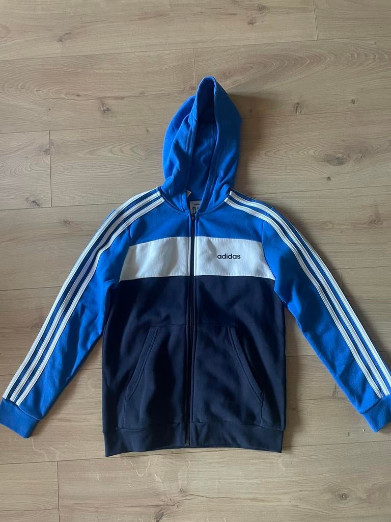 Adidas trainingsjack/ hoodie (maat M 152), Ophalen of Verzenden, Zo goed als nieuw, Jongen of Meisje, Trui of Vest