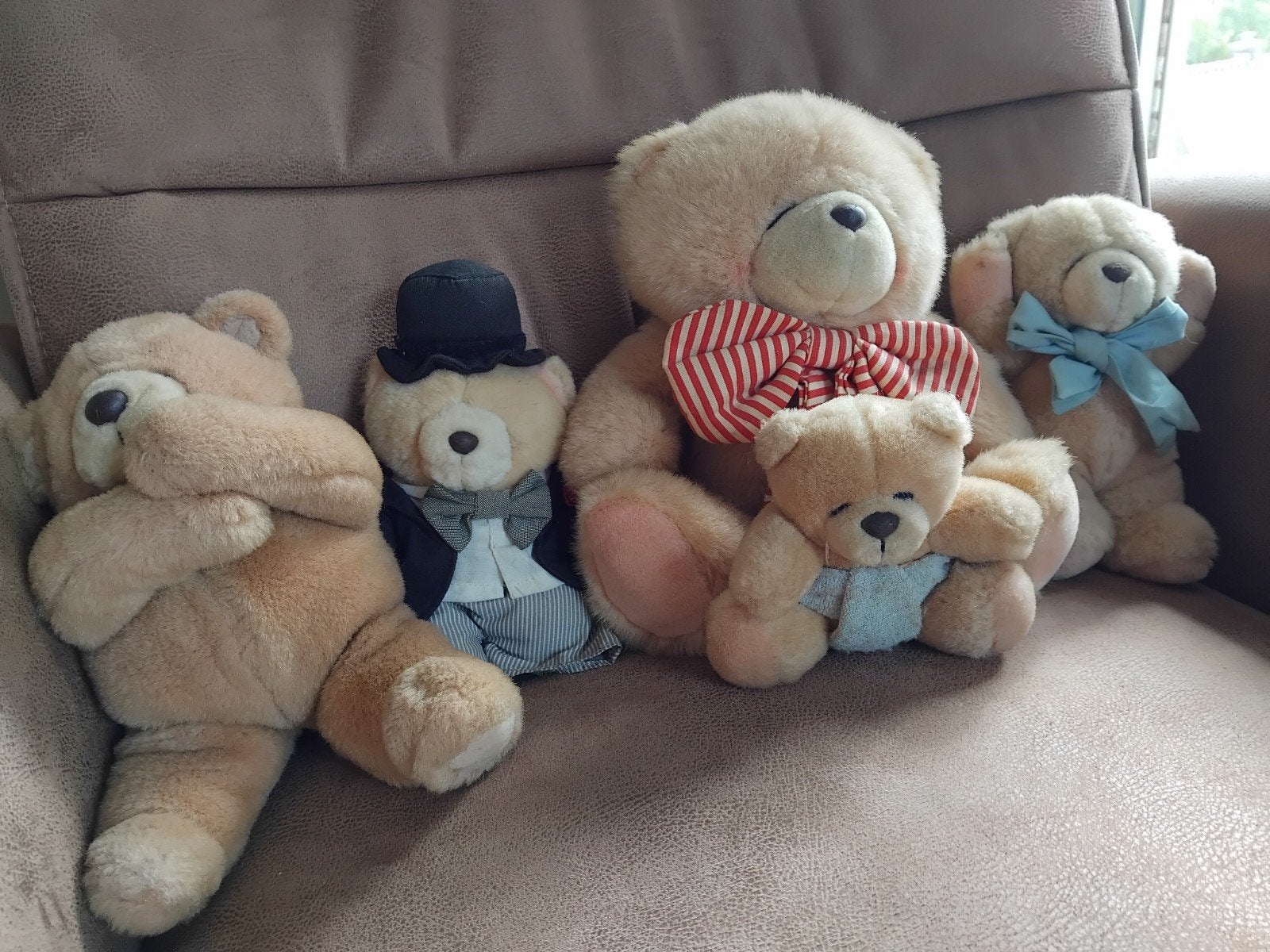 Originele Forever Friends Beren - Set van 5, Kinderen en Baby's, Speelgoed | Knuffels en Pluche, Gebruikt, Overige merken, Overige karakters