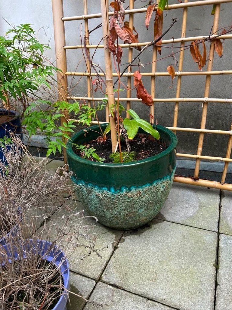 Bloempot groen, Rond, Zo goed als nieuw, Minder dan 40 cm, Ophalen