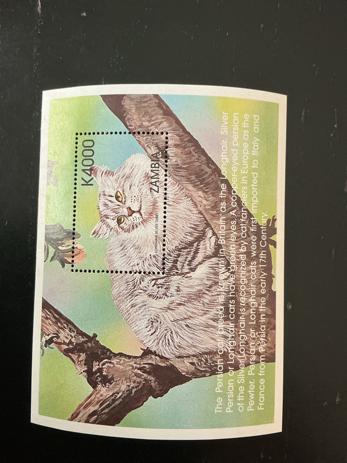 Zambia Katten Postzegels - Perzische en Siamese Katten, Ophalen of Verzenden, Postfris