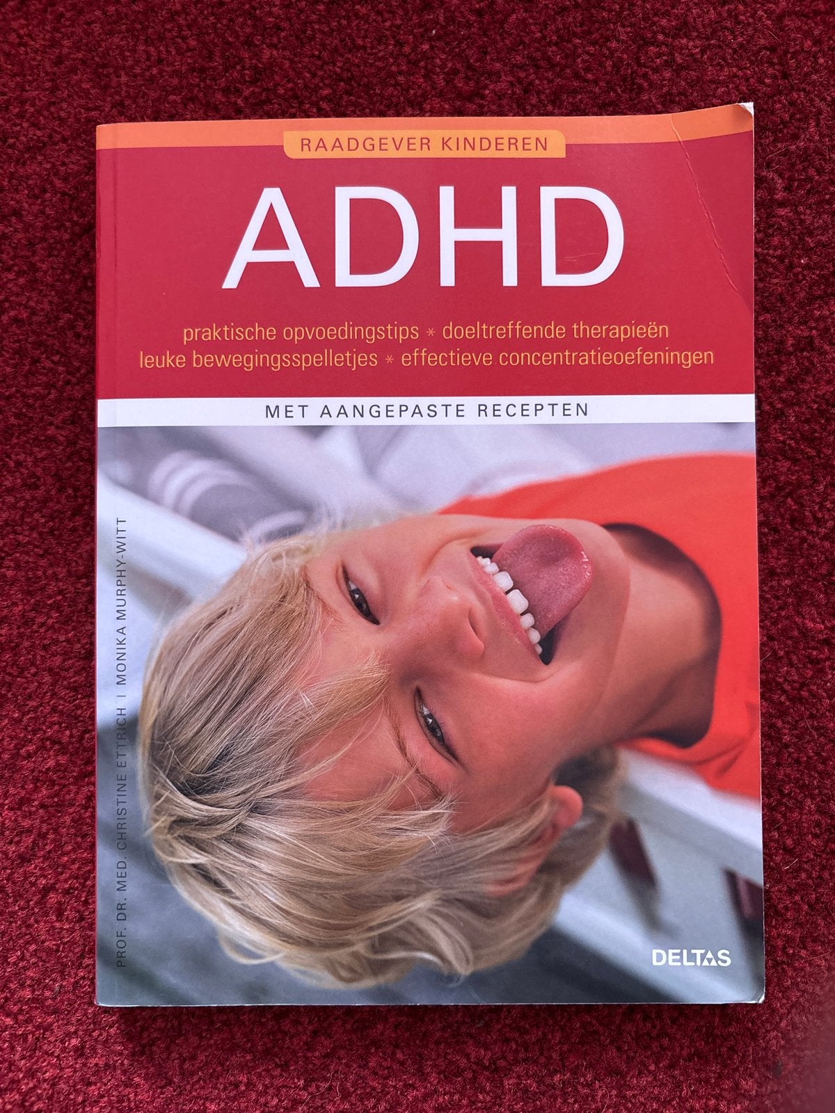 ADHD Raadgever Kinderen: Praktische Opvoedingstips & Therapi, Ophalen, Gelezen, Opvoeding vanaf 10 jaar