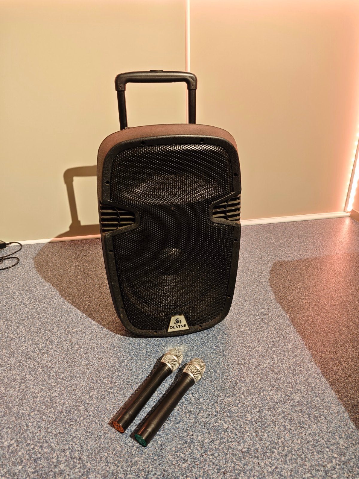 Devine Nordo 12A MKII Party Speaker met Microfoons, Audio, Tv en Foto, Gebruikt, Party speaker, Inclusief microfoon, Ophalen