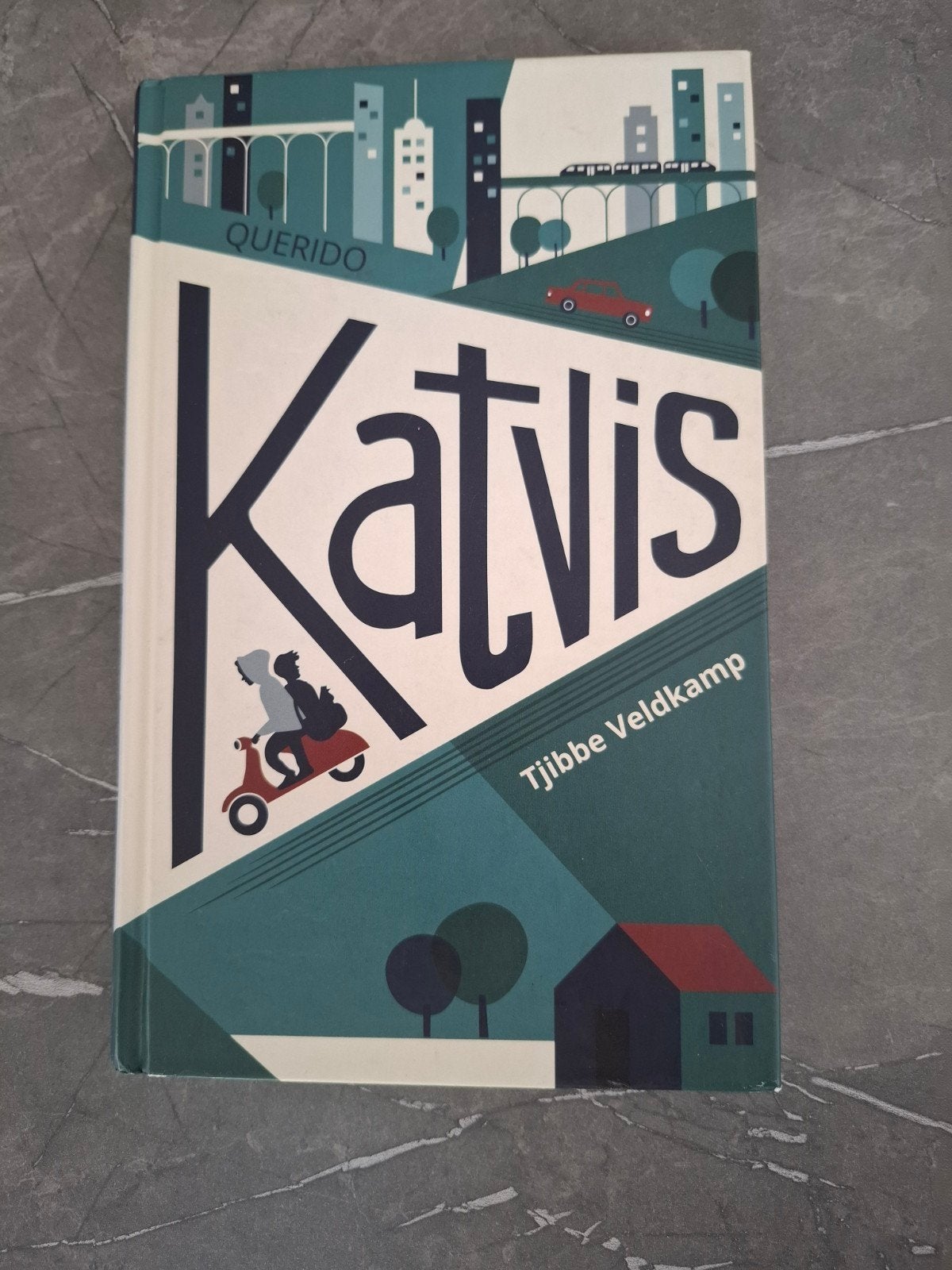 Tjibbe Veldkamp - Katvis, Ophalen of Verzenden, Zo goed als nieuw, Tjibbe Veldkamp