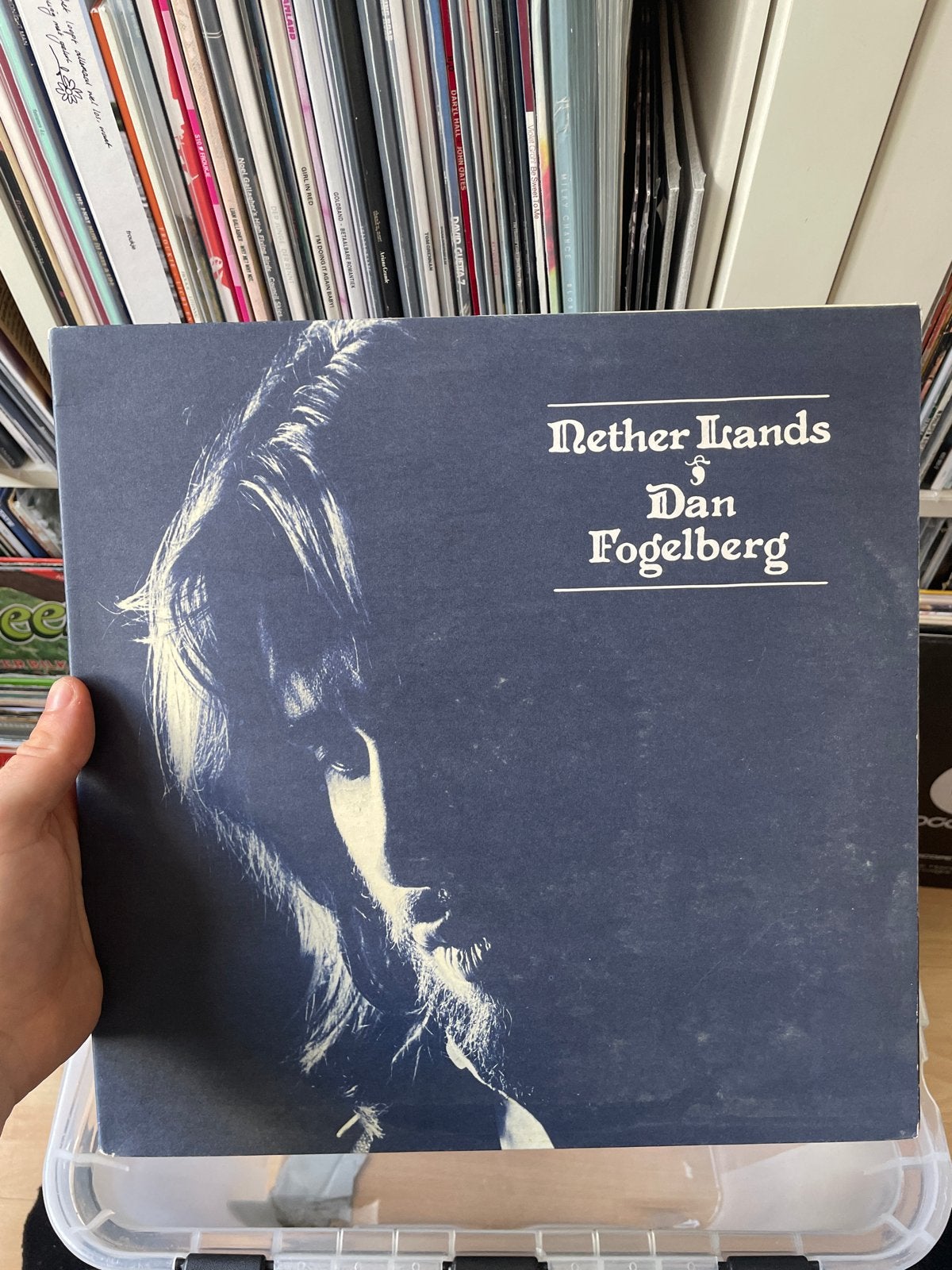 Dan Fogelberg - Nether Lands LP (Pop/Rock), LP, Gebruikt, Pop, Originele persing