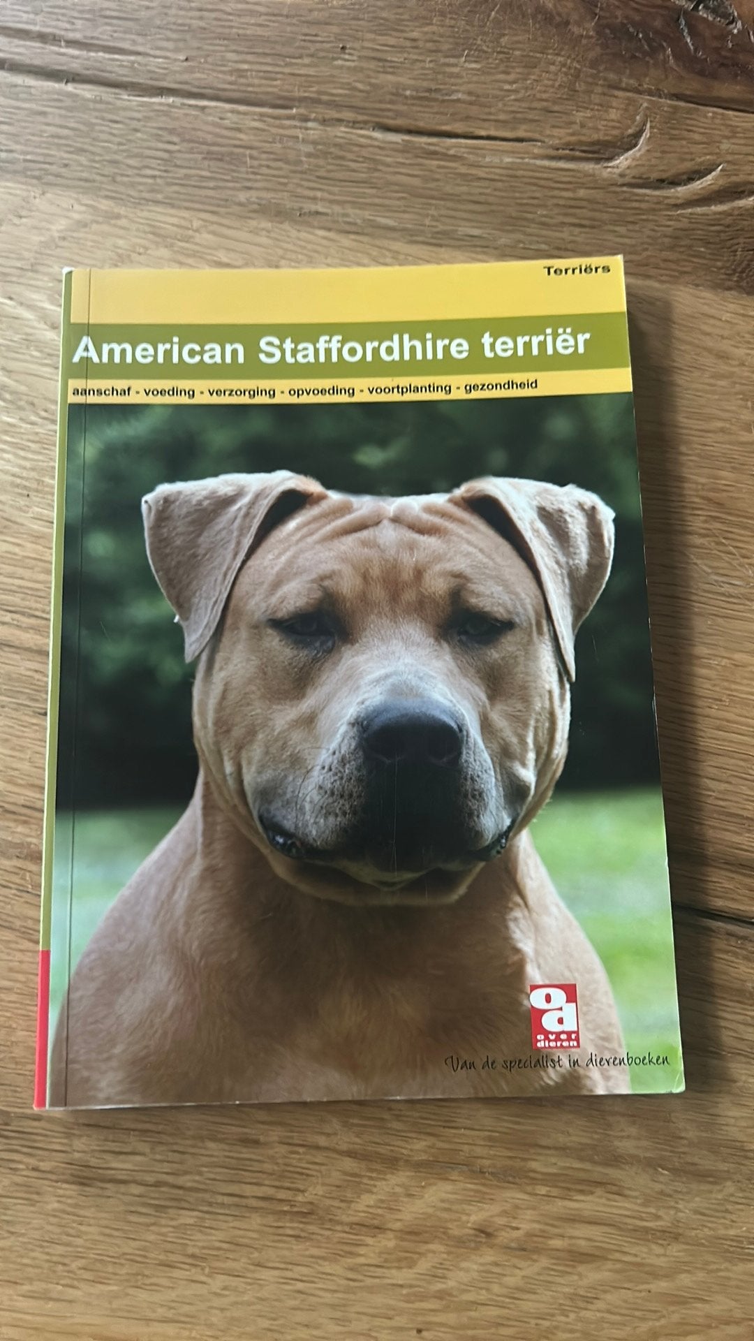 American Staffordshire terriër, Ophalen of Verzenden, Zo goed als nieuw, Paarden of Pony's