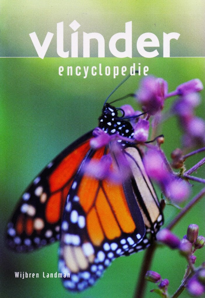 Vlinder Encyclopedie - Wijbren Landman / 9789036628068, Boeken, Natuur, Zo goed als nieuw, Natuur algemeen, Ophalen of Verzenden