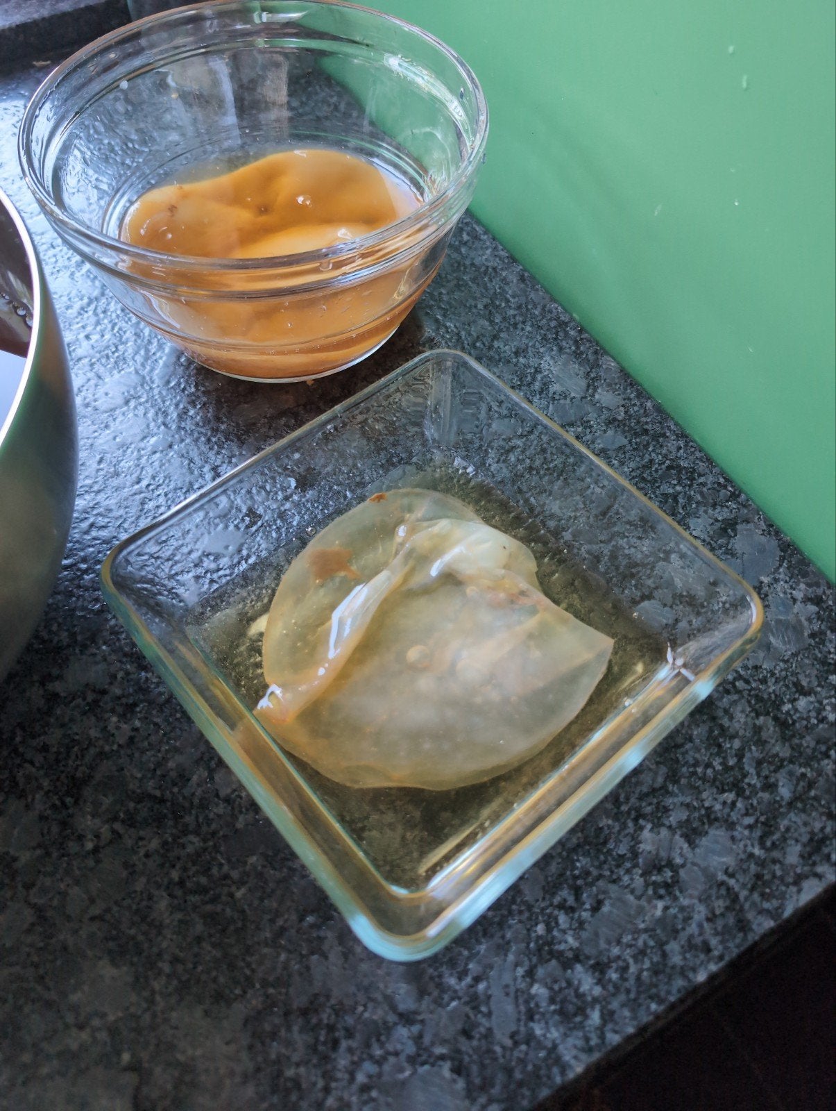 Scoby om zelf kombucha te maken, Ophalen