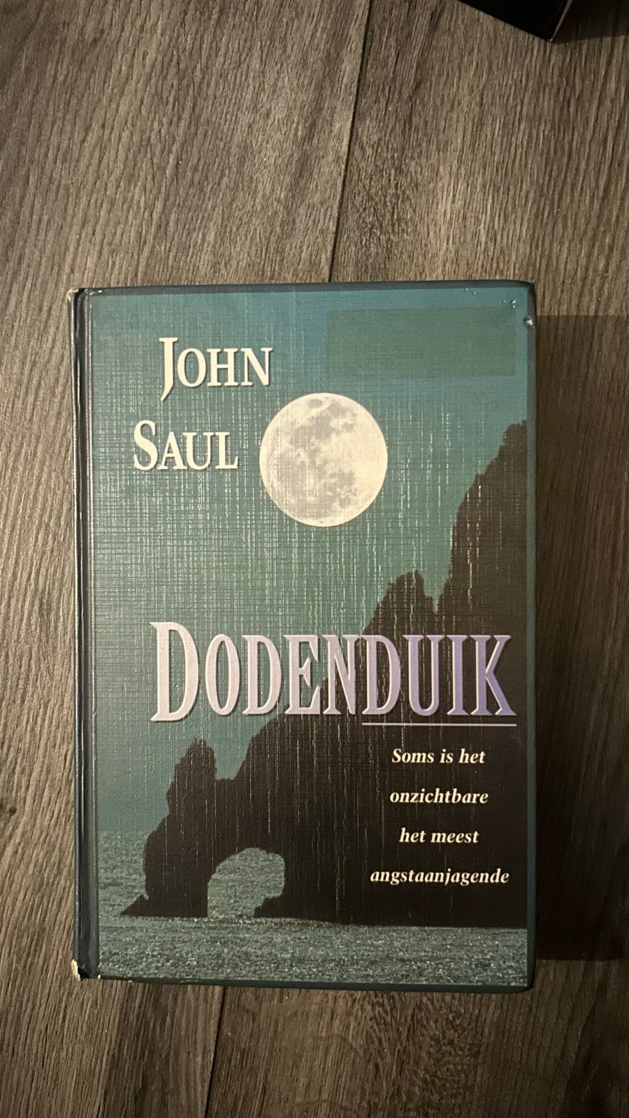 Dodenduik - John Saul (Thriller), Boeken, Ophalen of Verzenden, Gelezen, Amerika