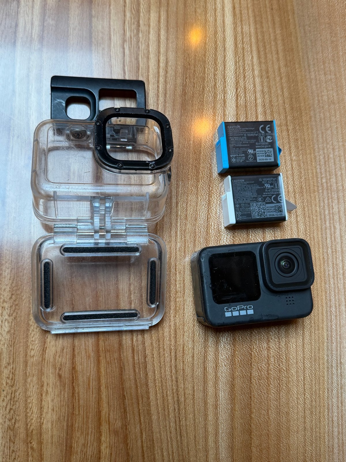 GoPro Hero 9 Black met duikcase en 2 accu's