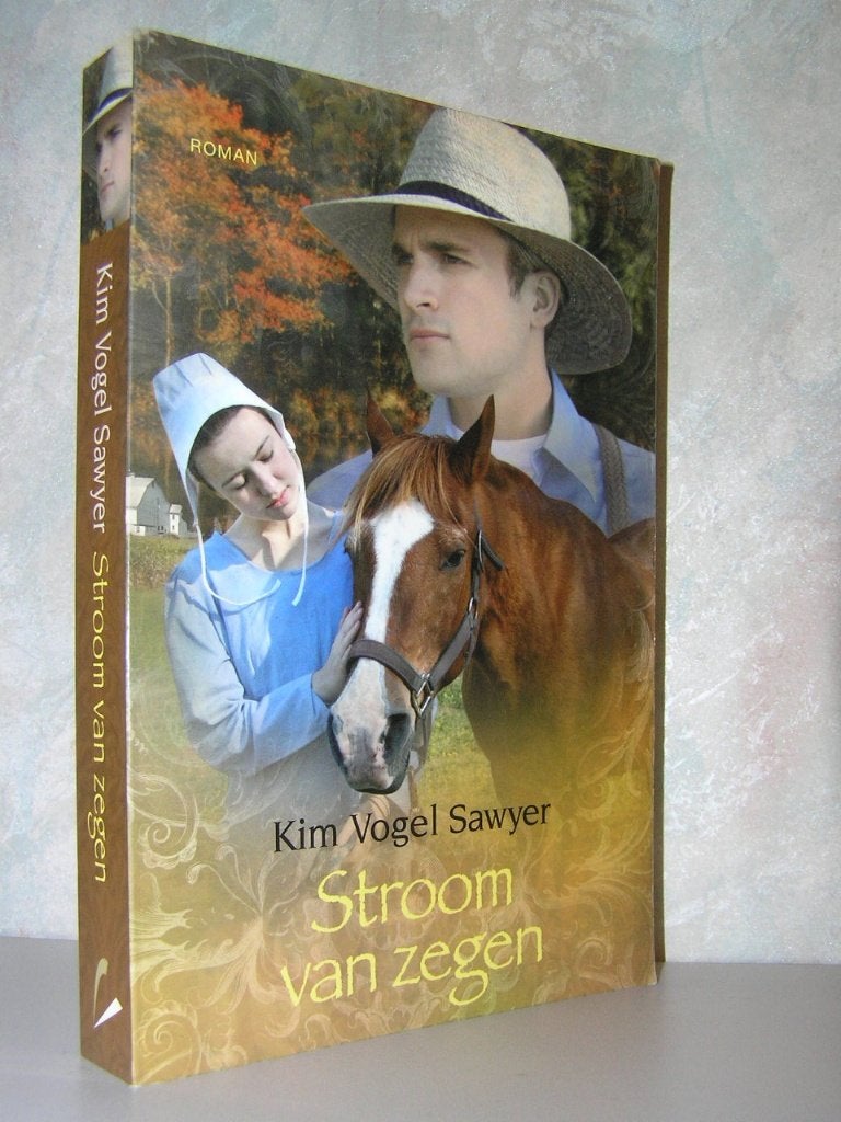 Kim Vogel Sawyer - Stroom van zegen (christelijke roman), Ophalen of Verzenden, Zo goed als nieuw