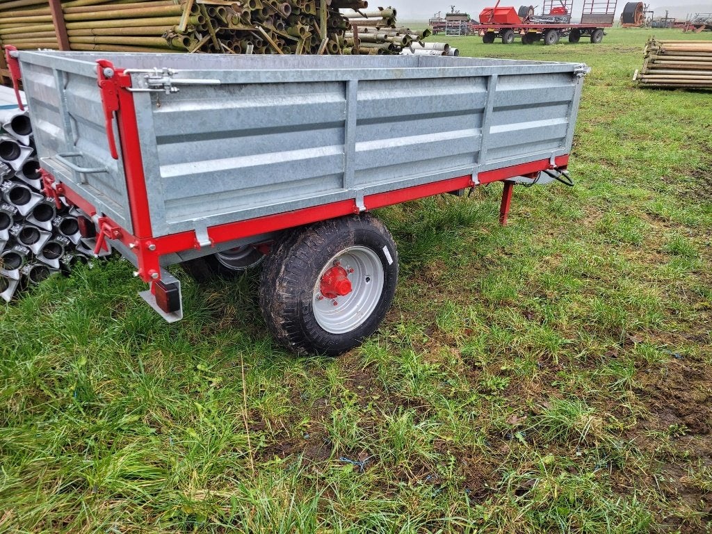 Mini kipper 3 ton, Tuin en Terras, Planten | Bomen, Ophalen, Volle zon, Overige soorten, Minder dan 100 cm