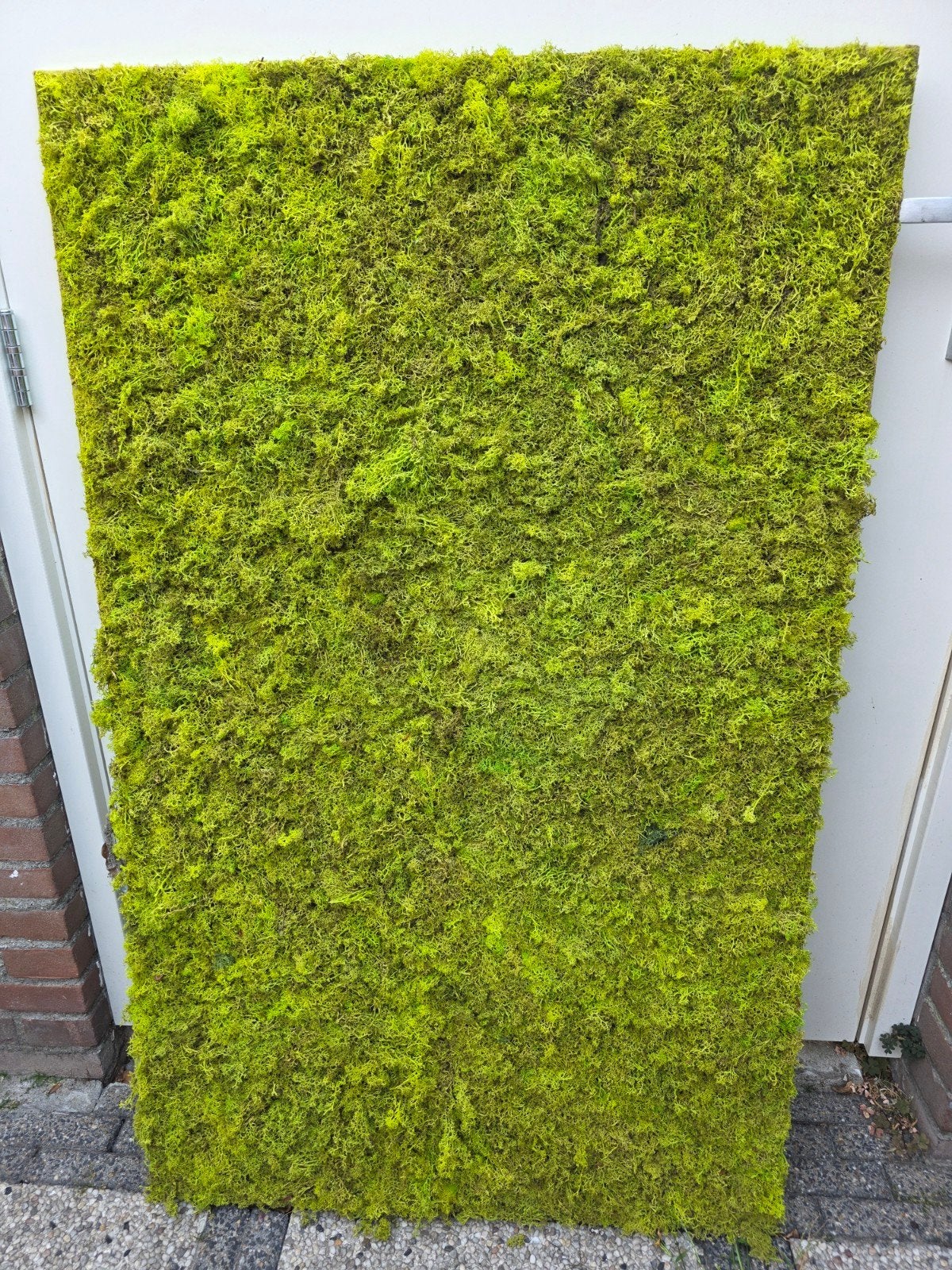 Moswandpaneel voor binnen en buiten. formaat 75 x 120, Ophalen, Nieuw, Overige merken, Onderhoudsvrij