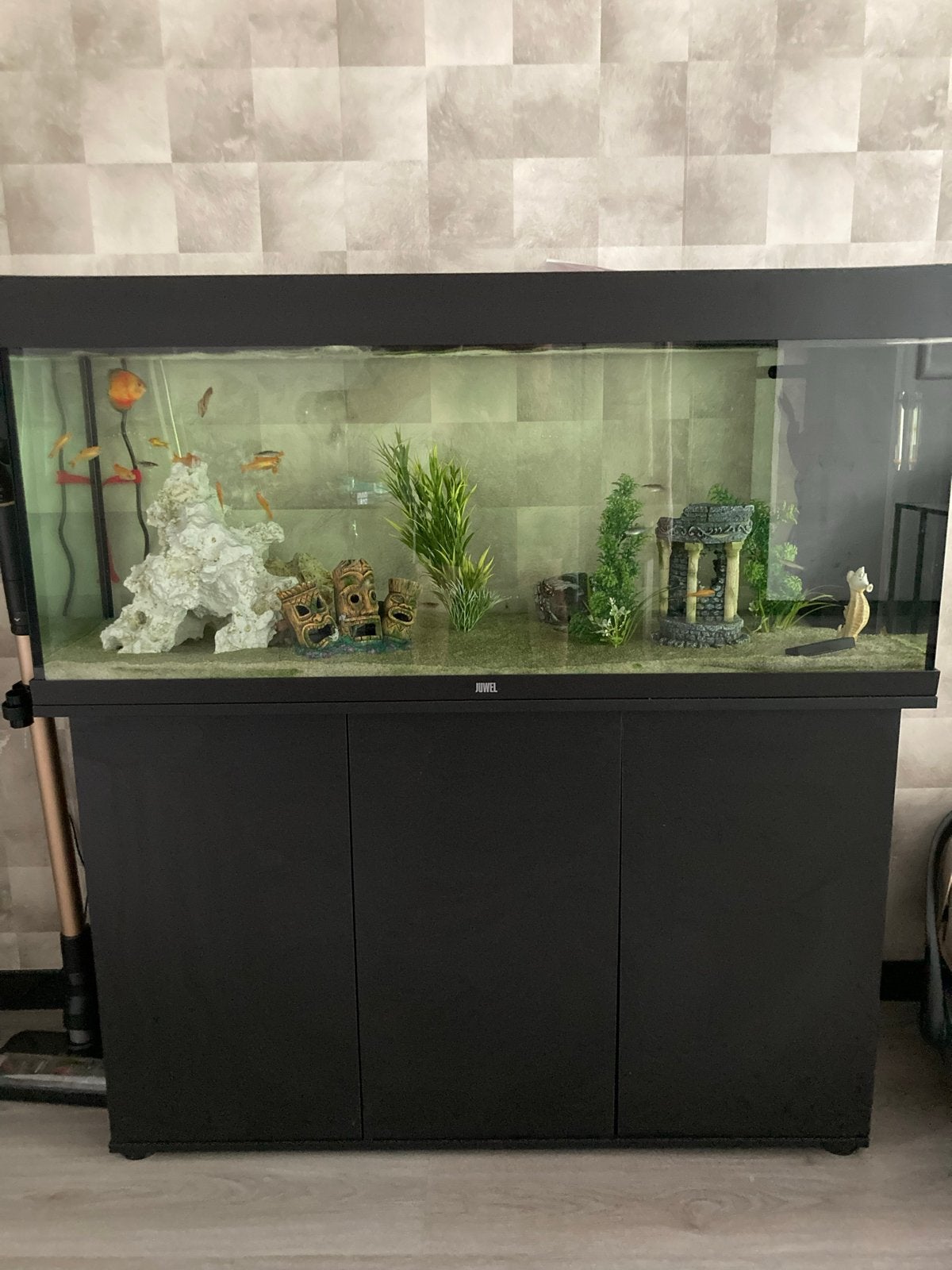 Juwel aquarium 240L, Ophalen, Leeg aquarium