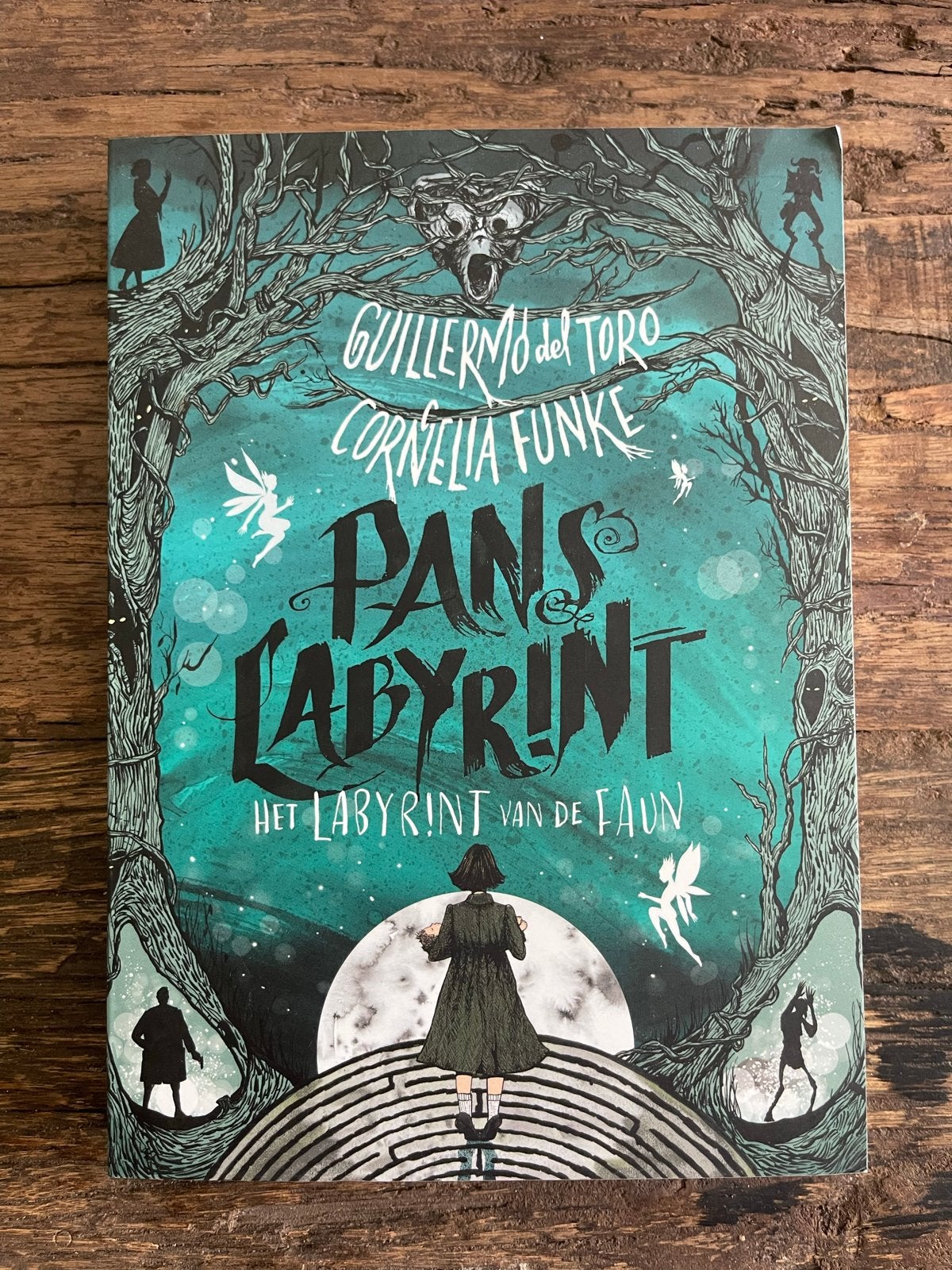 Pans Labyrint - Het Labyrint van de Faun - Boek, Ophalen of Verzenden, Nieuw