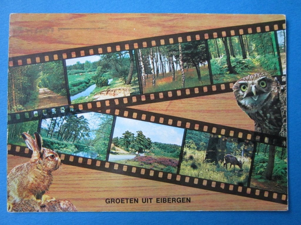 Ansichtkaart: Eibergen, Groeten uit..., Ophalen of Verzenden, 1980 tot heden, Gelopen, Gelderland