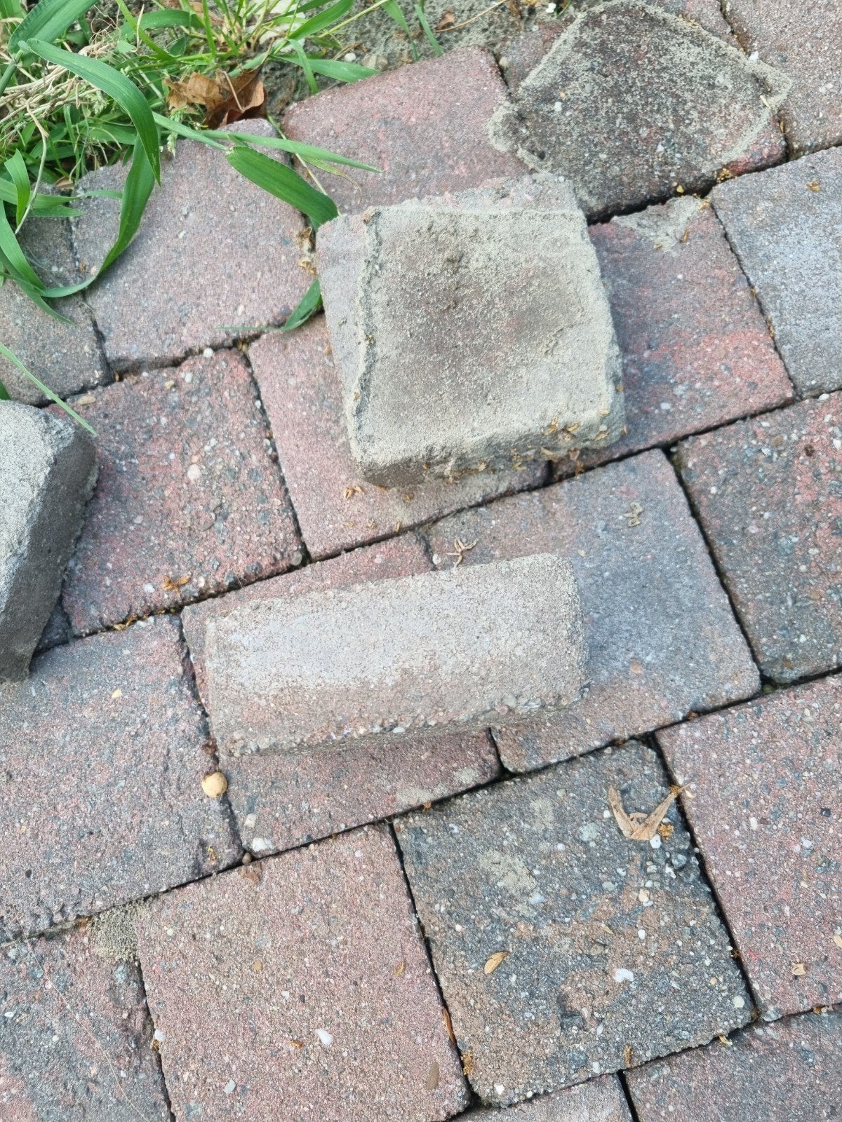 Gevraagd klinkers 10x10x5 cm, Tuin en Terras, Ophalen, Gebruikt, Klinkers, 5 tot 10 m²