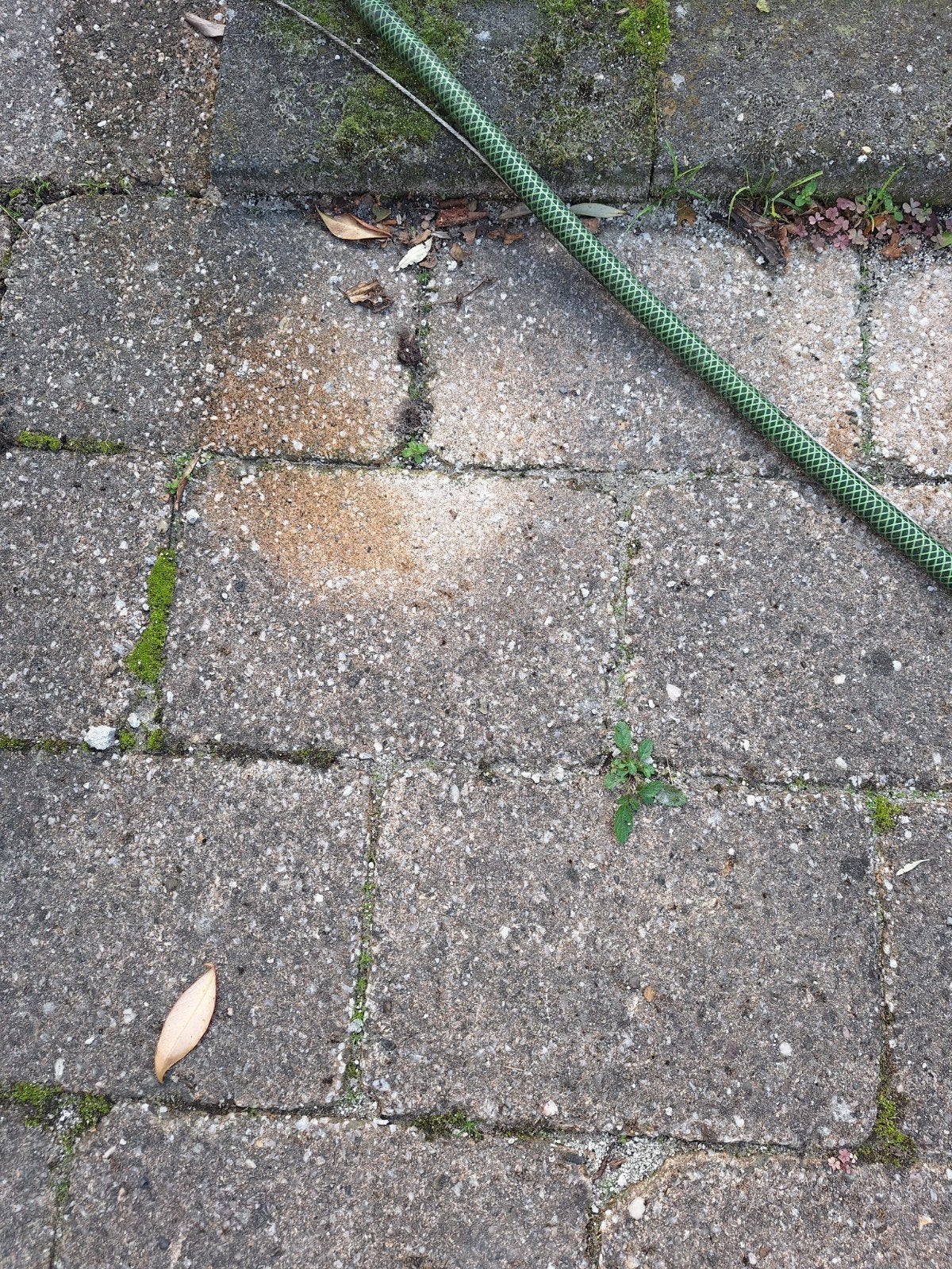 Gratis tuintegels 20x30 cm, ca. 30 m², zelf ophalen, Tuin en Terras, Gebruikt, Ophalen of Verzenden, 10 m² of meer, Beton