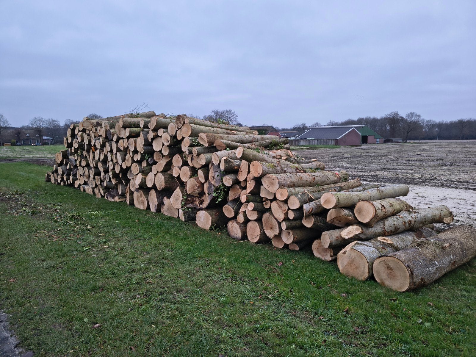 Brandhout: 80% Eik, diverse diktes, incl. leveri, 6 m³ of meer, Ophalen of Verzenden, Eikenhout, Stammen