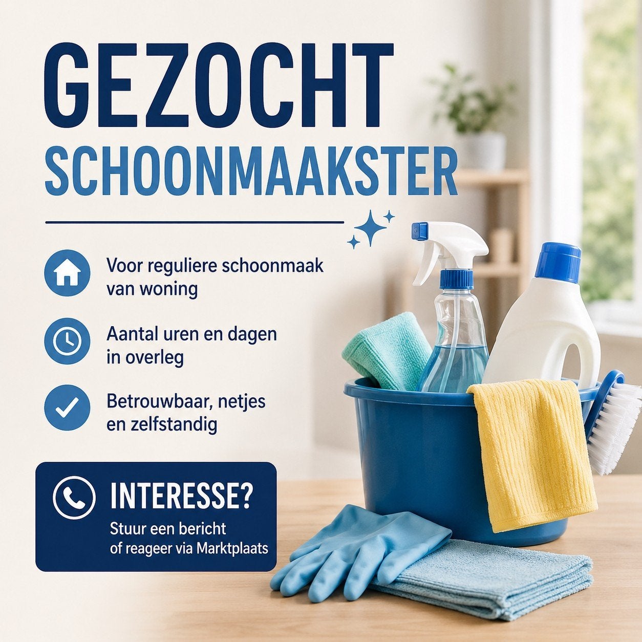 Gezocht schoonmaakster, huishoudelijke hulp. Omgeving Kampen